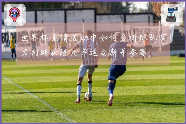 世界杯竞猜活动中如何分析球队实力判断获胜几率适合新手参赛