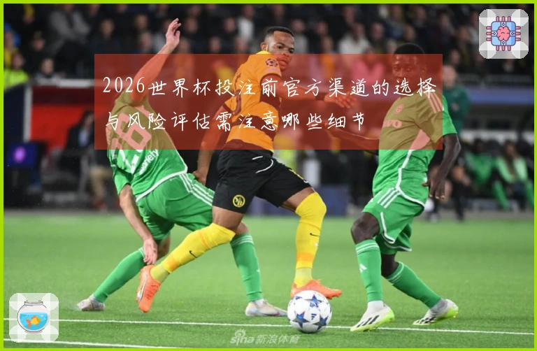 2026世界杯投注前官方渠道的选择与风险评估需注意哪些细节