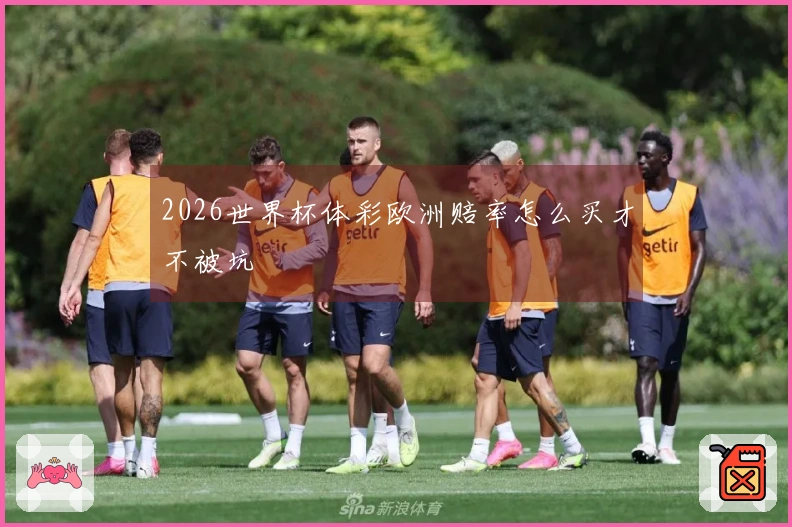 2026世界杯体彩欧洲赔率怎么买才不被坑