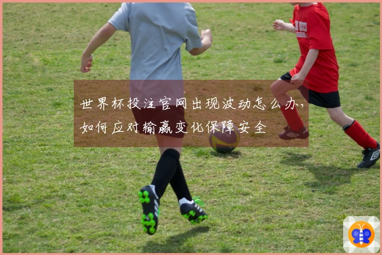 世界杯投注官网出现波动怎么办，如何应对输赢变化保障安全