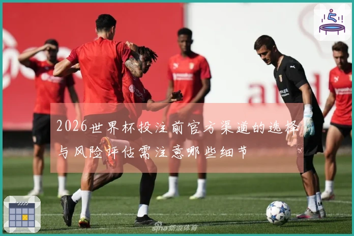 2026世界杯投注前官方渠道的选择与风险评估需注意哪些细节