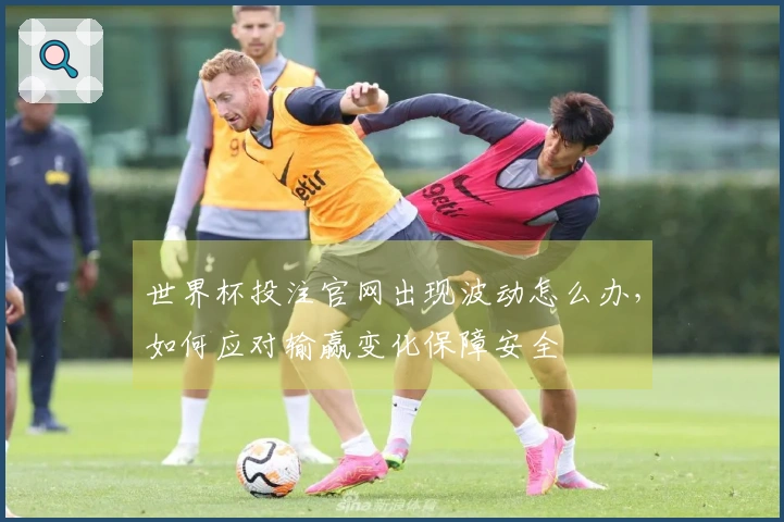 世界杯投注官网出现波动怎么办，如何应对输赢变化保障安全